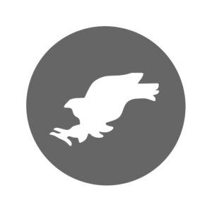 2024-4 AGUILA BLANCO Y NEGRO