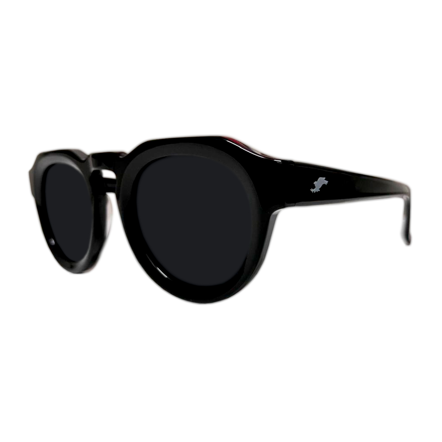 POLARIZED ACETATE SUNGLASSES - Image 2