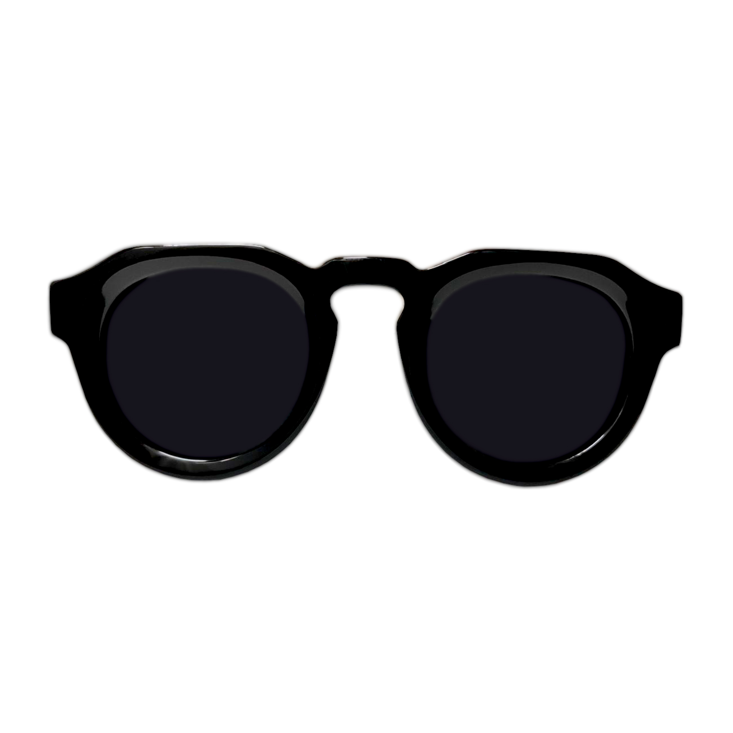 POLARIZED ACETATE SUNGLASSES